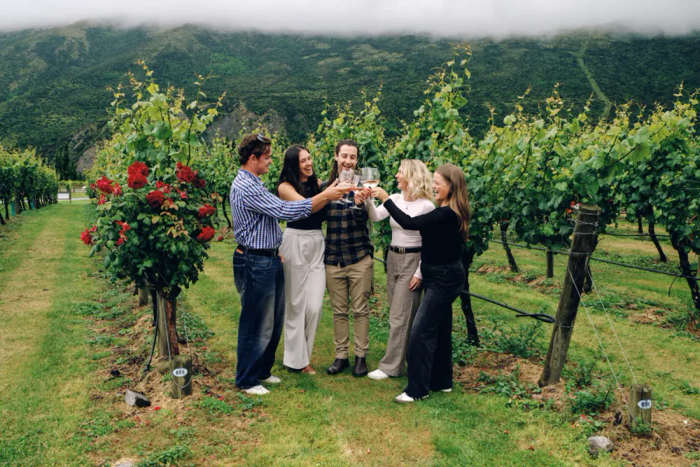 People raising glasses of wine in a toast in a vineyard with green hills and cloudy sky in the background.